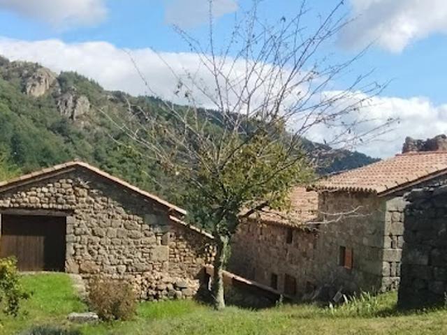 Vente Maison 10 pièces 320 m2 Le Cheylard