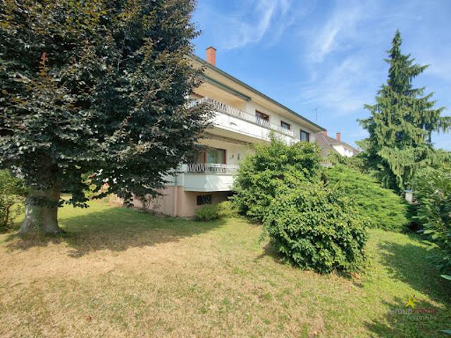 Vente Maison 10 pièces 326.04 m2 Strasbourg