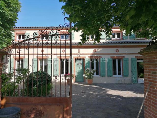 Vente Maison 10 pièces 330 m2 La Salvetat Saint Gilles