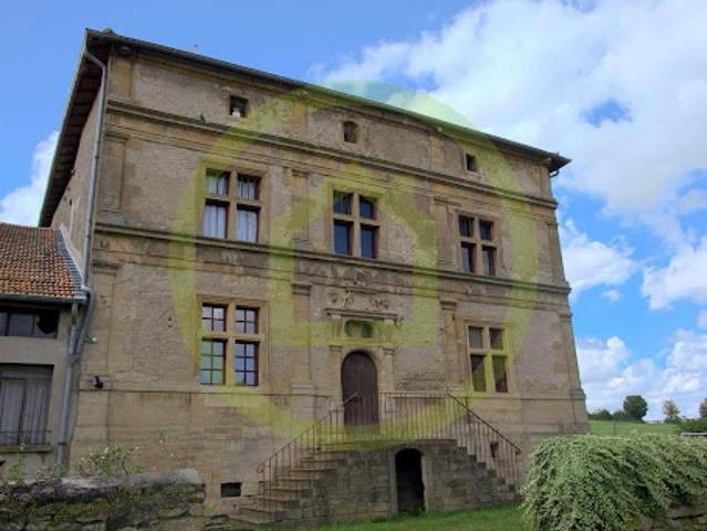 Vente Maison 10 pièces 535 m2 Tucquegnieux
