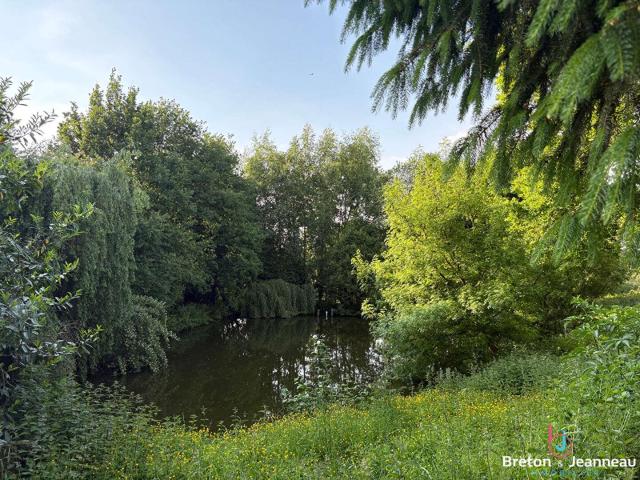 Vente maison 11 pièces Gorron 53