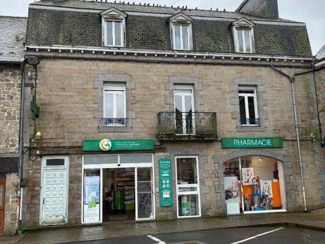Vente maison 11 pièces Rostrenen 22