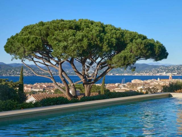 Vente maison 11 pièces Saint Tropez 83