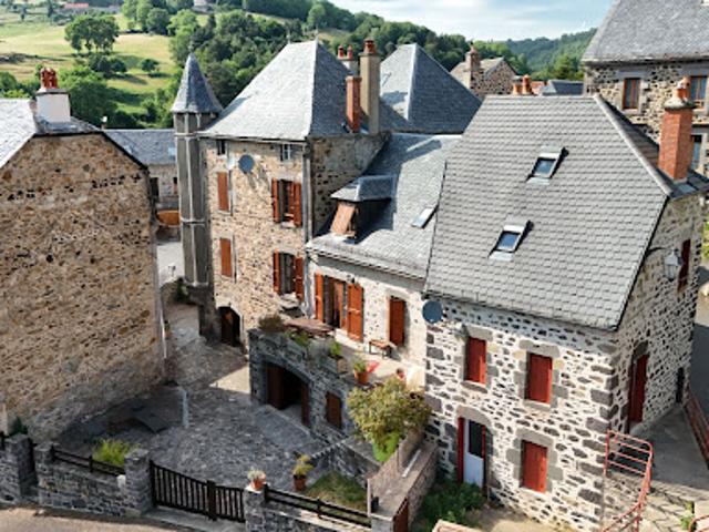 Vente Maison 11 pièces 290 m2 Peyrusse