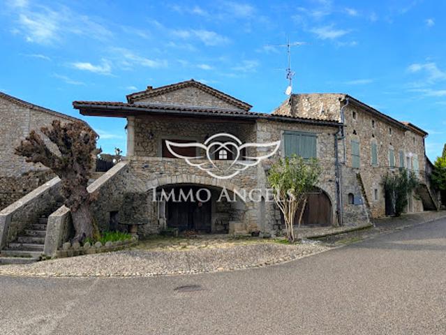 Vente Maison 11 pièces 220 m2 Vogue