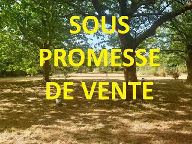 Vente Maison 11 pièces 350 m2 Pornic