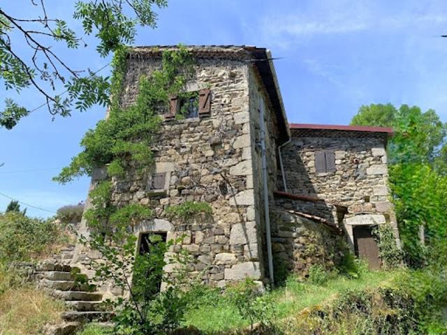 Vente Maison 11 pièces 315 m2 Saint Dier d'Auvergne