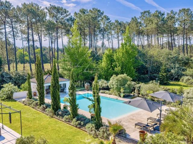 Vente maison 12 pièces Cazaux 33