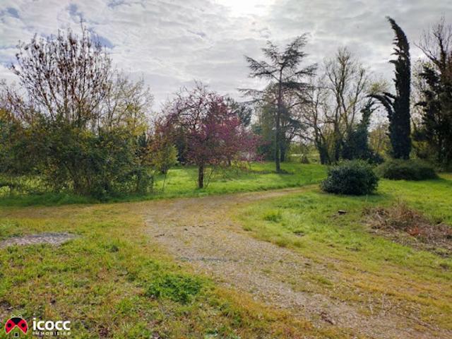 Vente Maison 12 pièces 270 m2 Marans