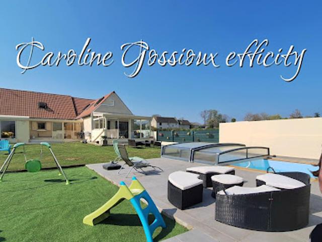 Vente Maison 12 pièces 220 m2 Meaux