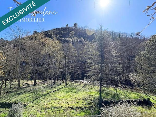 Vente Maison 12 pièces 341 m2 Prades