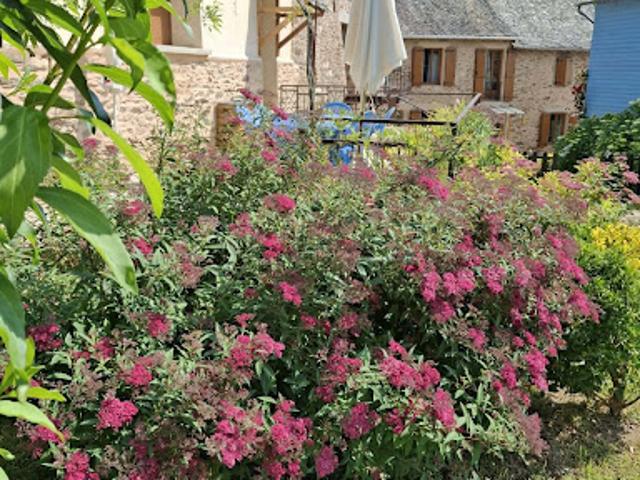 Vente Maison 12 pièces 300 m2 La Salvetat Peyralès