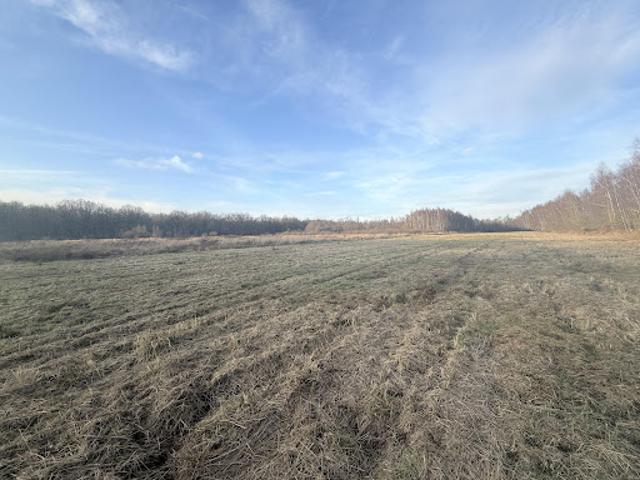 Vente Maison 12 pièces 300 m2 Les Ecrennes