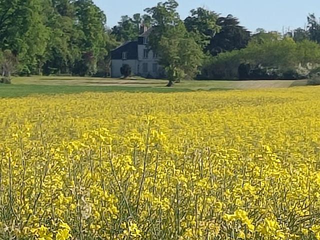 Vente Maison 12 pièces 320 m2 Bonny sur Loire