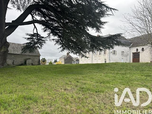 Vente Maison 12 pièces 328 m2 Tavers