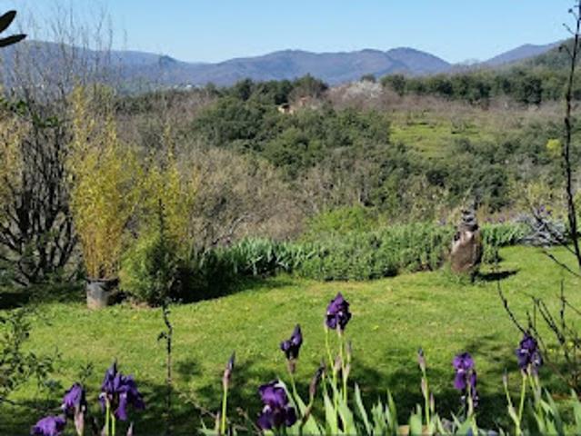 Vente Maison 12 pièces 332 m2 Le Vigan
