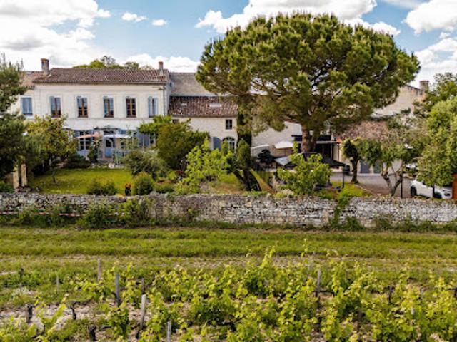 Vente Maison 12 pièces 472 m2 Saint estephe