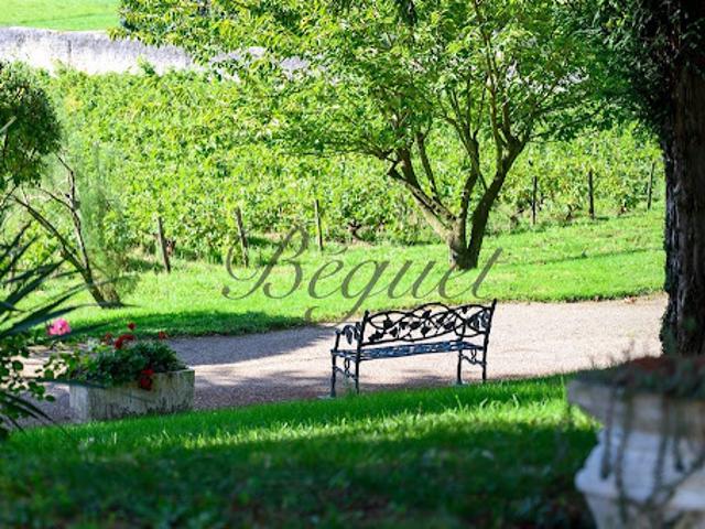 Vente Maison 12 pièces 500 m2 Vernou sur Brenne