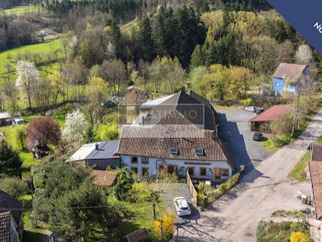 Vente Maison 12 pièces 625 m2 Steige