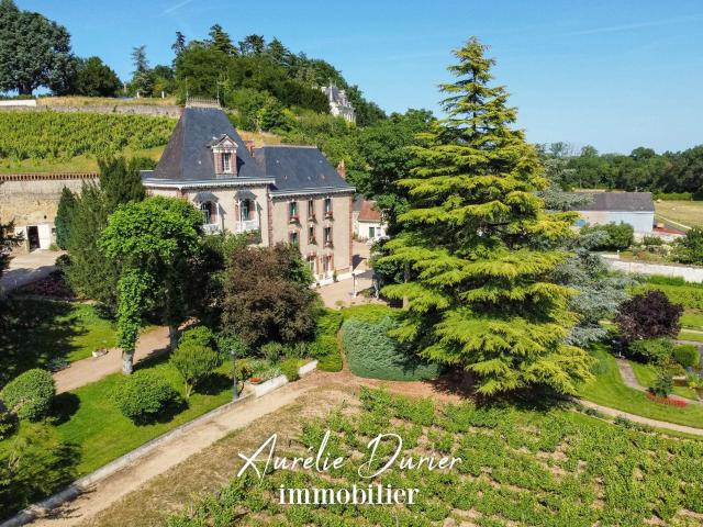 Vente maison 13 pièces Vernou sur Brenne 37