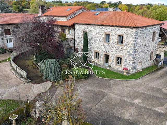 Vente Maison 13 pièces 343 m2 Sanssac l'Eglise