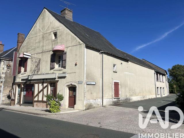 Vente maison 14 pièces Chémery 41