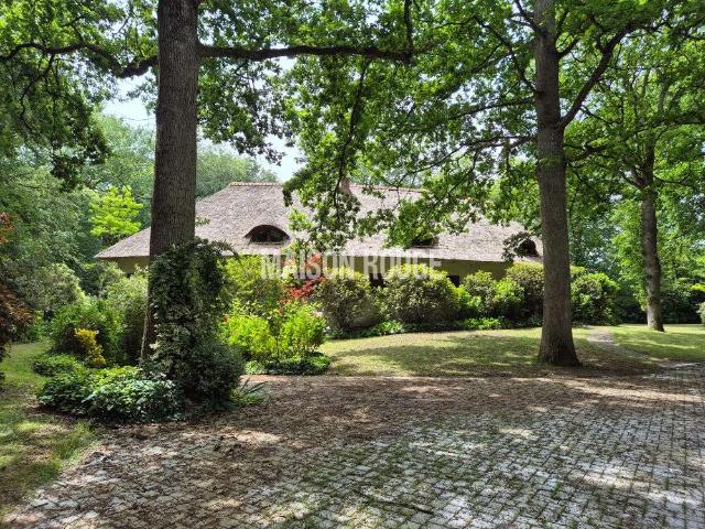 Vente maison 14 pièces Dinan 22