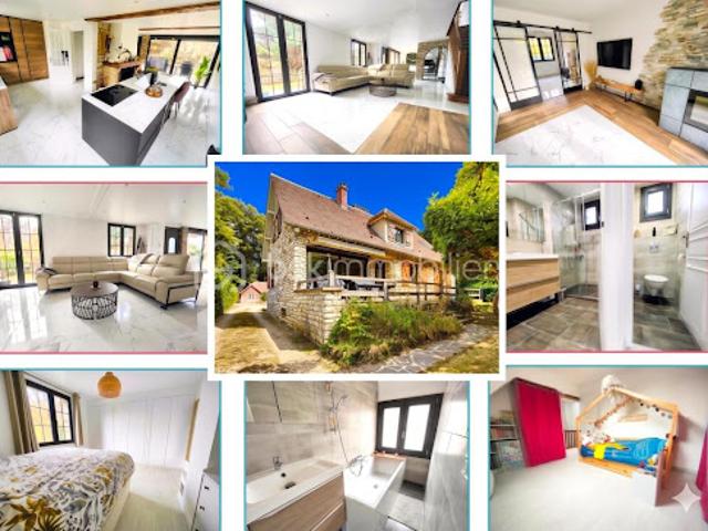 Vente Maison 14 pièces 224.83 m2 Thoiry