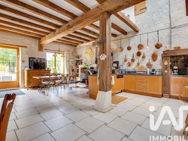 Vente Maison 14 pièces 385 m2 Chatillon sur cher