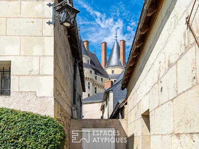 Vente Maison 14 pièces 420 m2 Langeais