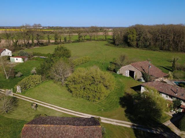 Vente Maison 14 pièces 530 m2 Genouille