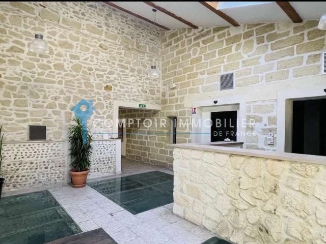 Vente maison 15 pièces Aimargues 30