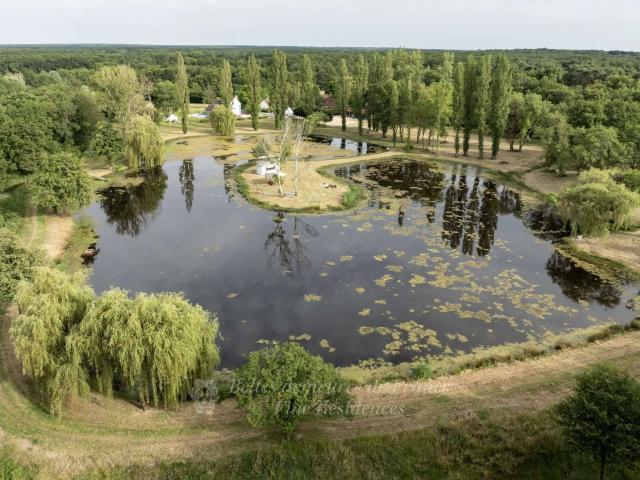 Vente maison 15 pièces Romorantin Lanthenay 41