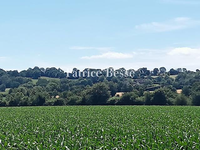 Vente Maison 15 pièces 221 m2 Argentan