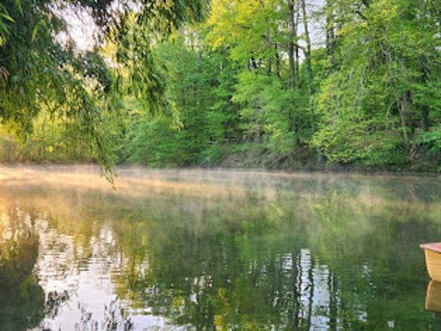 Vente Maison 15 pièces 600 m2 Saint cheron