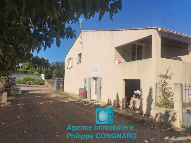 Vente Maison 165 m² à Puissalicon 525 000 ¤