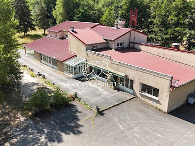Vente Maison 16 pièces 1023 m2 Le Monastier sur Gazeille