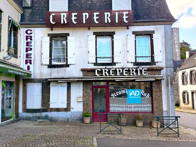 Vente maison 17 pièces Pleyben 29