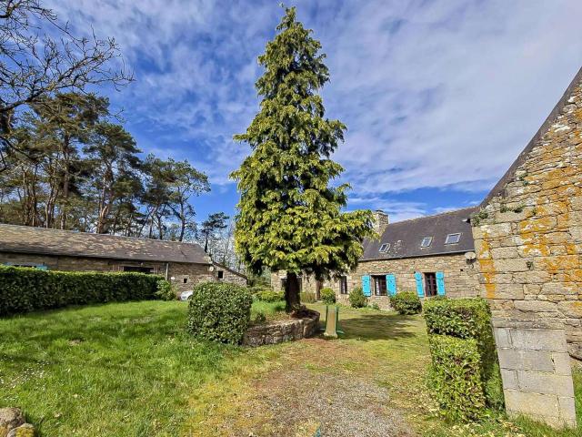Vente maison 17 pièces Plouaret 22