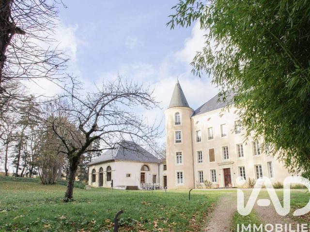 Vente maison 17 pièces Salles sur l'Hers 11