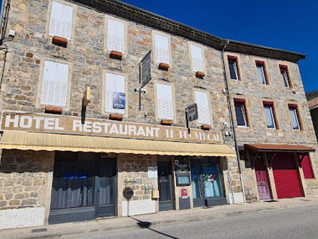 Vente Maison 17 pièces 306.74 m2 Le Cheylard