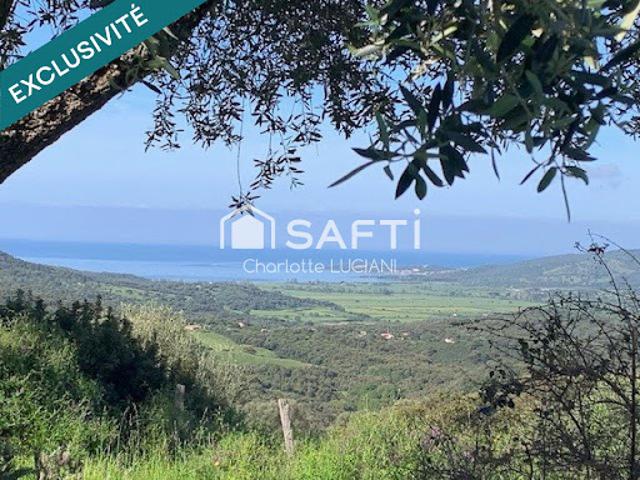 Vente Maison 17 pièces 520 m2 Sollacaro