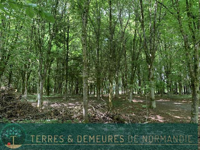 Vente Maison 1 pièce 0 m2 Vire