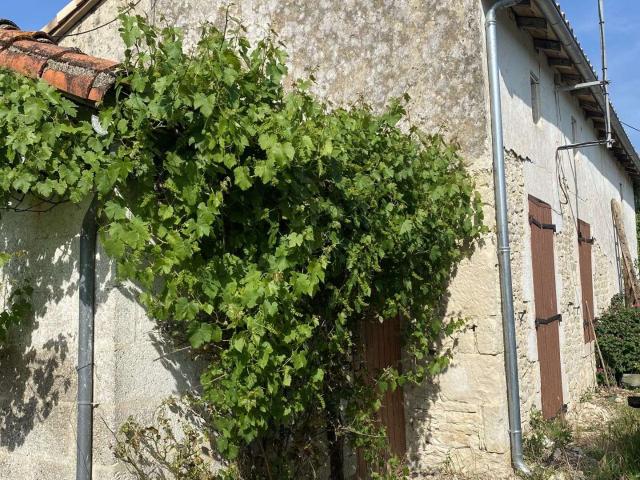Vente maison 1 pièce Brioux sur Boutonne 79