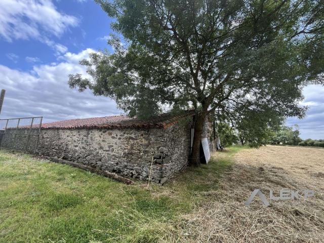 Vente maison 1 pièce Mouchamps 85