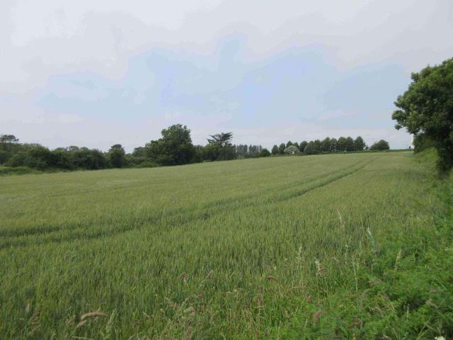 Vente maison 1 pièce Plouhinec 29