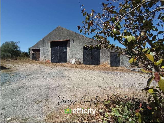 Vente maison 1 pièce Sainte Flaive des Loups 85