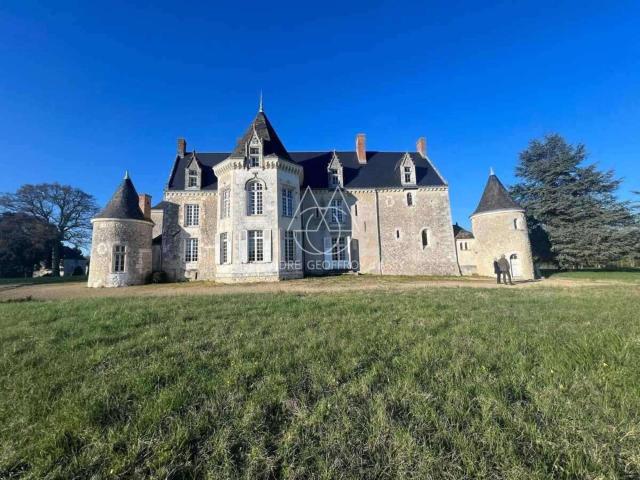 Vente maison 20 pièces Noyant de Touraine 37