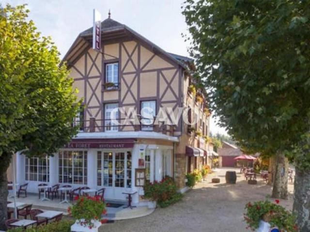Vente Maison 20 pièces 1000 m2 Vierzon