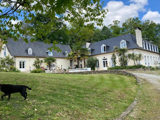 Vente Maison 20 pièces 683 m2 Rontignon